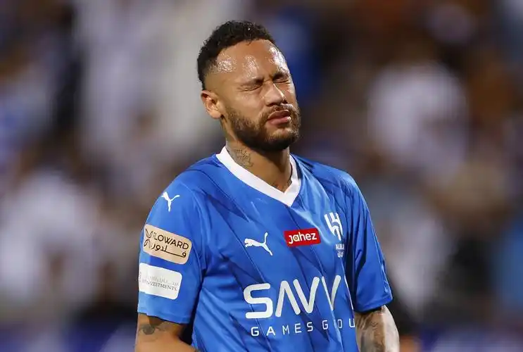 供了广阔的 供了广阔的