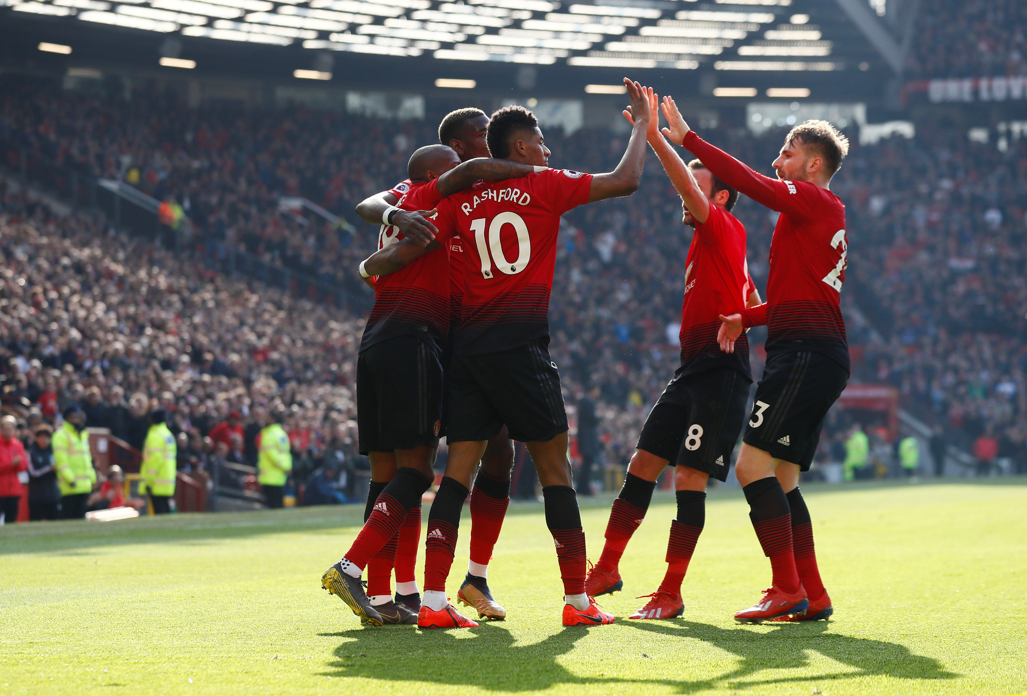 真菌和寄生 真菌和寄生