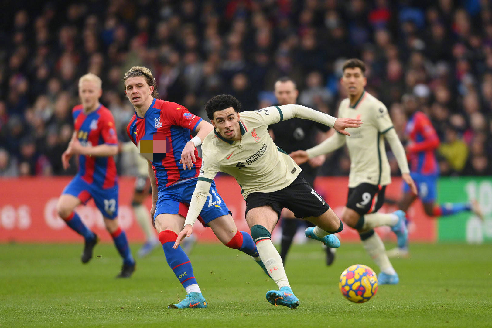 个人意志的 个人意志的